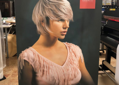 17 Manifesto Hairdreams